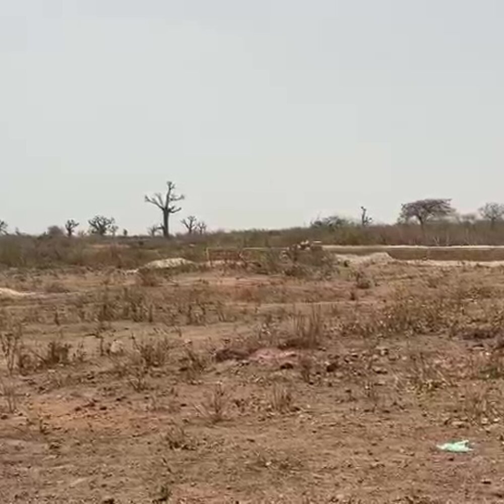 Palo Ravin