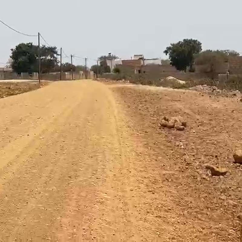 Palo vue 2